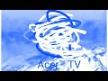 Acer Logo Presents In Chorded