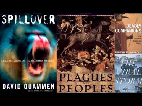 The Viral Storm - The Dawn of a New Pandemic Age