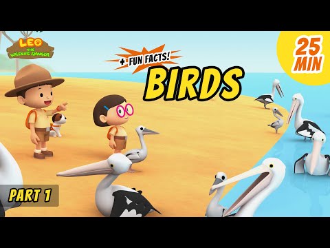 Witness21 Editor  2020 08 28