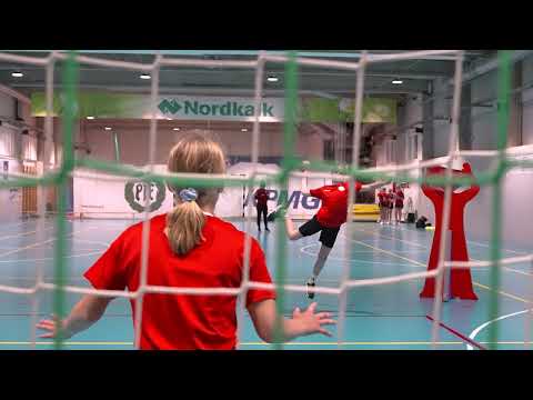 PIF Handboll D-Flickor/ PIF Käsipallo D-tytöt