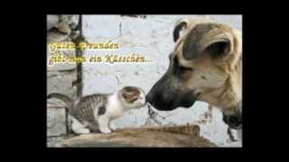 Juliane Werding - Alles kann passieren  [Freundinnen]