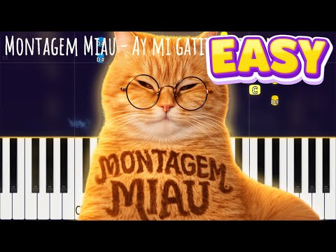 Hay Un Gatito (Piano) - Duermete Nino