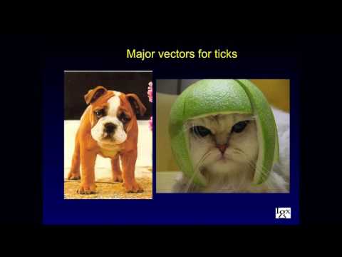 Bob Giguere - Understanding Complexities of testing for Lyme & Tick-borne Diseases