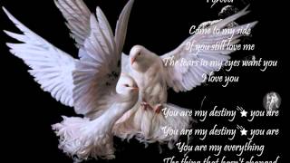 My Destiny  💕  Lyn  💕  *English Lyrics*