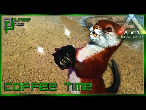 Soloing the Ark - Coffee Time 2020