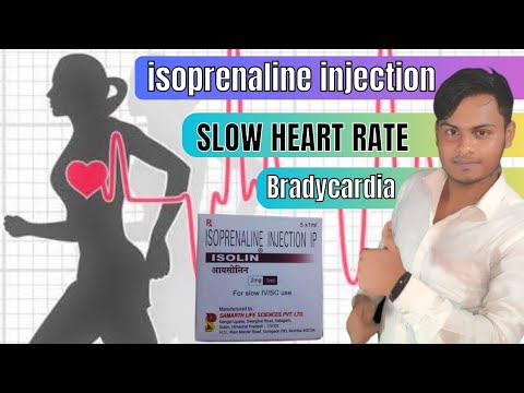 Noradrenaline Injections - Norepinephrine Latest Price, Manufacturers ...