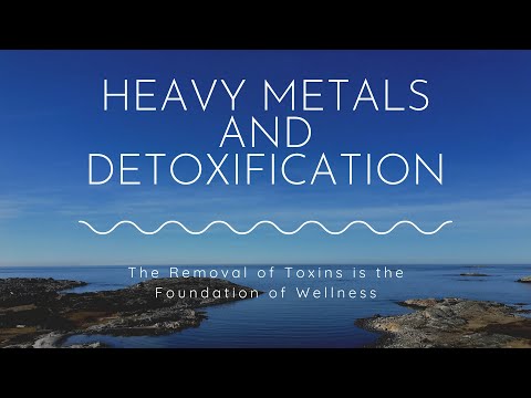 Heavy Metals and Detoxification ~ Clayton Thomas ~ Root Wellness ~ Clean Slate