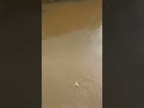 PESCARIA EM ABRE CAMPO MG RIO SANTANA O LUGAR PRA DAR PEIXE, É DE TREMER ÀS PERNAS!!!