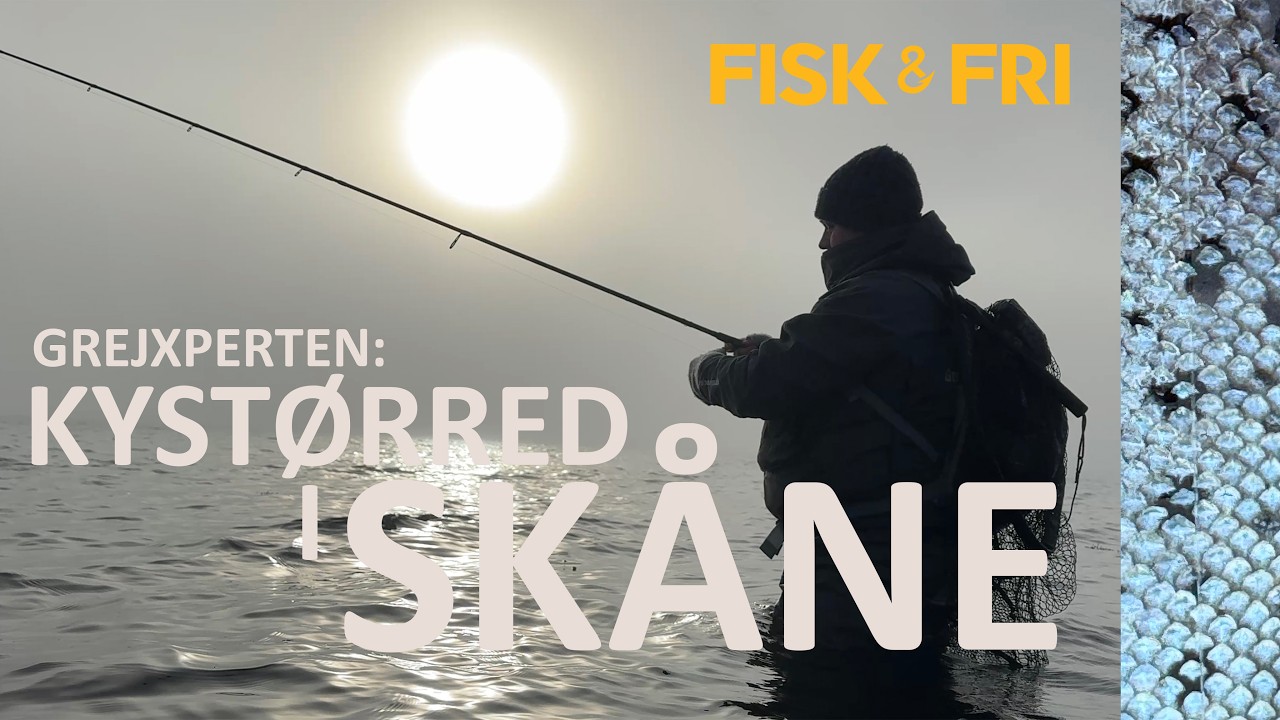NY VIDEO FRA SYDSVERIGE: HAVØRREDFISKERI PÅ SKÅNEKYSTEN