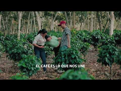 Vista previa video Cafés de Colombia Expo