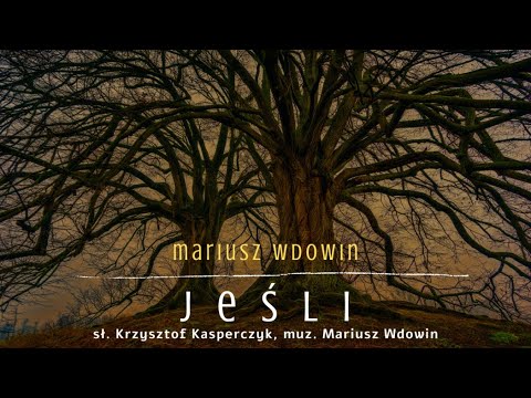 Mariusz Wdowin - Jeśli