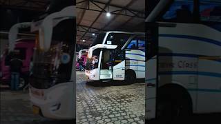 Download lagu pahala kencana bus executive sapu paket #bus #busmania #pahalakencana mp3