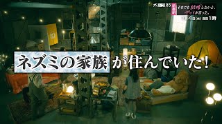 【公式】水ドラ25『それでも結婚したいと、ヤツらが言った。』60秒トレーラー | テレビ東京