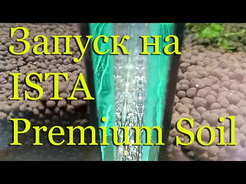 Запуск креветочника, аквариума на питательном грунте ISTA Substrate Premium Soil