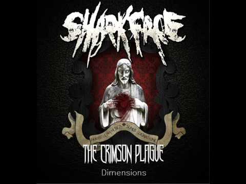 SharkFace - Dimensions