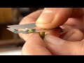 How To Get Thin Plant Cross Section Or TS Properly By Hand In Slow Motion