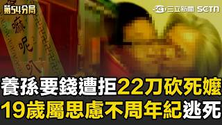 【精華】養孫為了11萬「22刀砍死阿嬤」：給她機會了還不給我錢！ 法官認定「19歲屬思慮不周年紀」：尚有教化可能｜第54分局｜三立新聞網 SETN.com