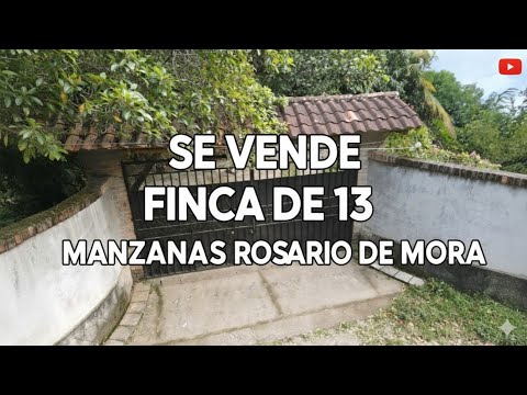 Se venden finca en Rosario de Mora.