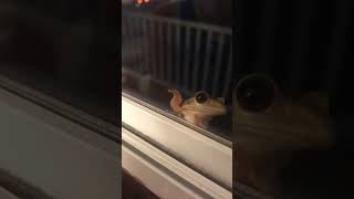 An old soul #pastlives #motivation #animals #explore