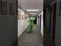 The Wiggles Dorothy 60fps