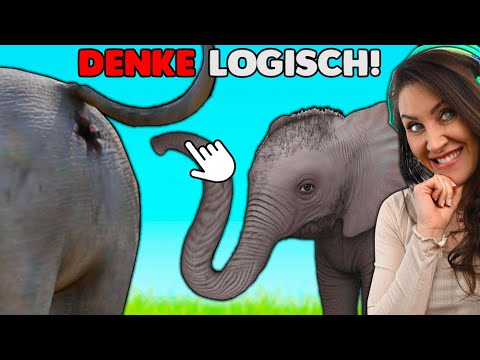 Ich habe doch nur logisch gehandelt! Move Animals!