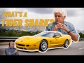 Jay Leno's 2002 Corvette Z06 Tiger Shark
