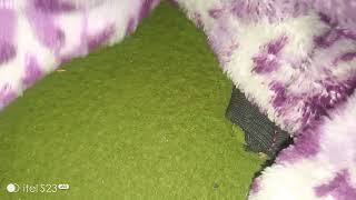 Download lagu XXL XXL XXL XXL FREESTYLE 2024 |XXL 2025 | Xxwd5000xa | XXL XXL XXL XXL FREESTYLES mp3 Download lagu XXL XXL XXL XXL FREESTYLE 2024 |XXL 2025 | Xxwd5000xa | XXL XXL XXL XXL FREESTYLES mp3