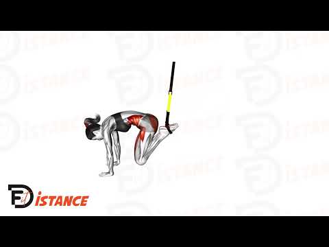 Jack Knife TRX - Exercice Jack Knife TRX en vidéo Jack Knife TRX - Exercice Jack Knife TRX en vidéo