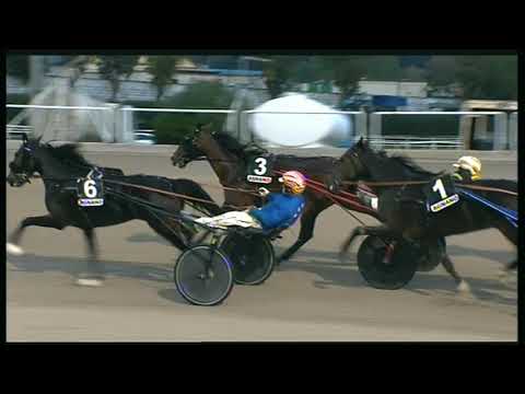 Trotto 24/10/2020 - 7ª corsa