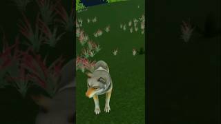 🐺 Wolf simulator 3D| Gameplay|gamming short video | #shorts #gamming #viral #new #gammingwitharfodin