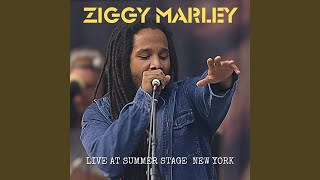Stir It Up (Live)