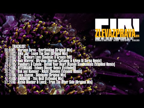 ZLEVAZPRAVA 014: Drop Not Too Hot Progressive House Set by DJ PIRI (CZ)