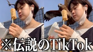 【神回】伝説のTikTokがツッコミどころ満載すぎるwwwwww【黒歴史】14