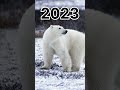 Polar Bear 2023 5500 Bce MYTHOLOGY MK Youtubeshorts