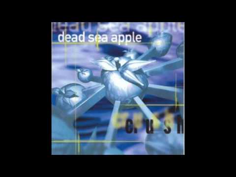 Dead Sea Apple - Apple