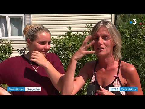 A Hyères, les moustiques font fuir les touristes