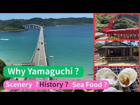 Why Yamaguchi Should Be on Your Japan Bucket List!