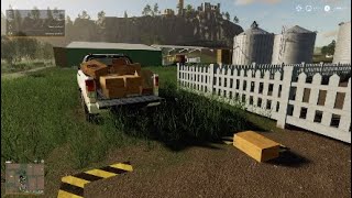 SELLING EGGS - Farming Simulator 19 - FS19 - Felsbrunn