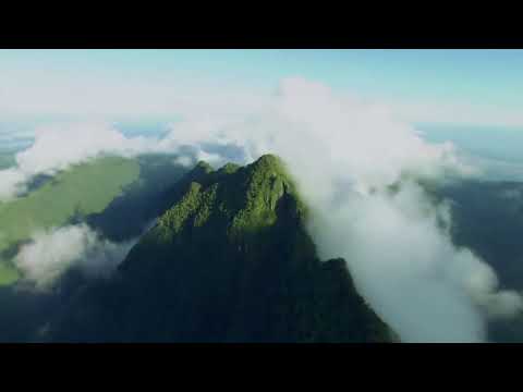 Viața dincolo de mormânt (Pf. Scarlat Demetrescu) 7/9