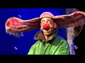 Cirque Slava SnowShow Слава Полунин