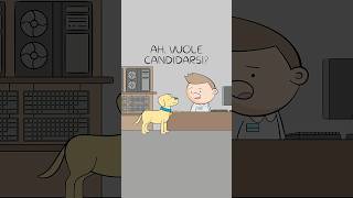 Cane intelligentissimo!