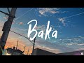 あれくん Alekun Baka ばーか Lyrics
