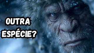 O Problema Neandertal Que a Ciência Evita Discutir