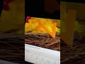 Sesame Street Letter N Nest Nap