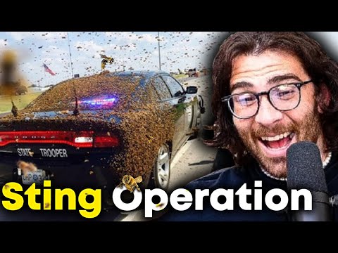 Cops ATTACKED By Bees | HasanAbi