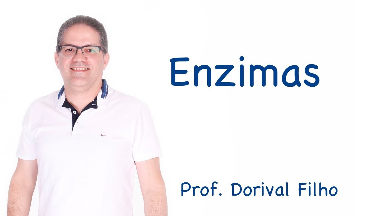 Enzimas