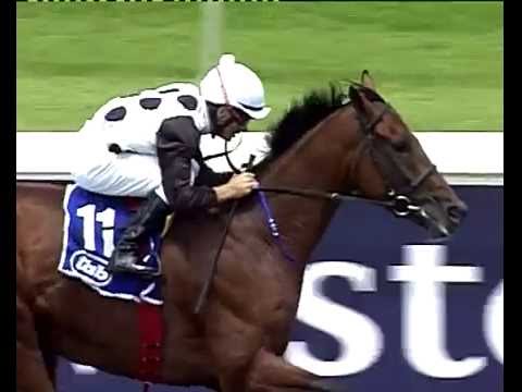 Futura - 2014 MR 80 Handicap - INTERVIEW