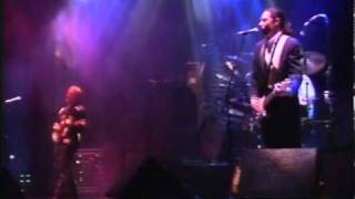 Big Head Todd and The Monsters - The Moose Song (Live at Red Rocks 1995)