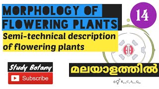 SEMITECHNICAL DESCRIPTION OF FLOWERING PLANTS MORPHOLOGY OF FLOWERING PLANTS PLUS ONE BIOLOGY |SB