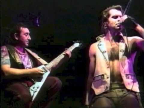 Animale di zona - Litfiba